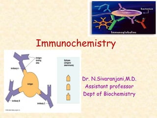Immunochemistry
Dr. N.Sivaranjani,M.D.
Assistant professor
Dept of Biochemistry
 
