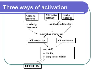 Immunochemistry | PPT
