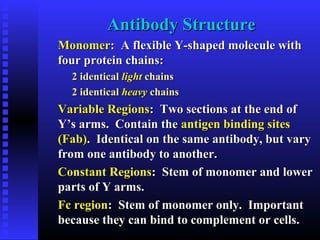 Antibody StructureAntibody Structure
MonomerMonomer: A flexible Y-shaped molecule with: A flexible Y-shaped molecule with
four protein chains:four protein chains:
2 identical2 identical lightlight chainschains
2 identical2 identical heavyheavy chainschains
Variable RegionsVariable Regions: Two sections at the end of: Two sections at the end of
Y’s arms. Contain theY’s arms. Contain the antigen binding sitesantigen binding sites
(Fab)(Fab). Identical on the same antibody, but vary. Identical on the same antibody, but vary
from one antibody to another.from one antibody to another.
Constant RegionsConstant Regions: Stem of monomer and lower: Stem of monomer and lower
parts of Y arms.parts of Y arms.
Fc regionFc region: Stem of monomer only. Important: Stem of monomer only. Important
because they can bind to complement or cells.because they can bind to complement or cells.
 