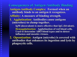 Consequences of Antigen-Antibody BindingConsequences of Antigen-Antibody Binding
Antigen-Antibody ComplexAntigen-Antibody Complex: Formed when an: Formed when an
antibody binds to an antigen it recognizes.antibody binds to an antigen it recognizes.
AffinityAffinity: A measure of binding strength.: A measure of binding strength.
1. Agglutination:1. Agglutination: Antibodies cause antigensAntibodies cause antigens
(microbes) to clump together.(microbes) to clump together.
IgM (decavalent) is more effective that IgG (bivalent).IgM (decavalent) is more effective that IgG (bivalent).
HemagglutinationHemagglutination: Agglutination of red blood cells.: Agglutination of red blood cells.
Used to determine ABO blood types and to detectUsed to determine ABO blood types and to detect
influenza and measles viruses.influenza and measles viruses.
2. Opsonization:2. Opsonization: Antigen (microbe) is covered withAntigen (microbe) is covered with
antibodies that enhances its ingestion and lysis byantibodies that enhances its ingestion and lysis by
phagocytic cells.phagocytic cells.
 