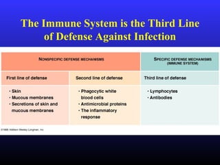 The Immune System is the Third Line
of Defense Against Infection
 