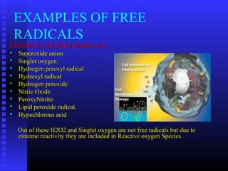 EXAMPLES OF FREE
RADICALS
EXAMPLE S OF FREE RADICALS :EXAMPLE S OF FREE RADICALS :
 Superoxide anionSuperoxide anion
 Singlet oxygenSinglet oxygen
 Hydrogen peroxyl radicalHydrogen peroxyl radical
 Hydroxyl radicalHydroxyl radical
 Hydrogen peroxideHydrogen peroxide
 Nitric OxideNitric Oxide
 PeroxyNitritePeroxyNitrite
 Lipid peroxide radical.Lipid peroxide radical.
 Hypochlorous acidHypochlorous acid
Out of these H2O2 and Singlet oxygen are not free radicals but due toOut of these H2O2 and Singlet oxygen are not free radicals but due to
extreme reactivity they are included in Reactive oxygen Species.extreme reactivity they are included in Reactive oxygen Species.
 