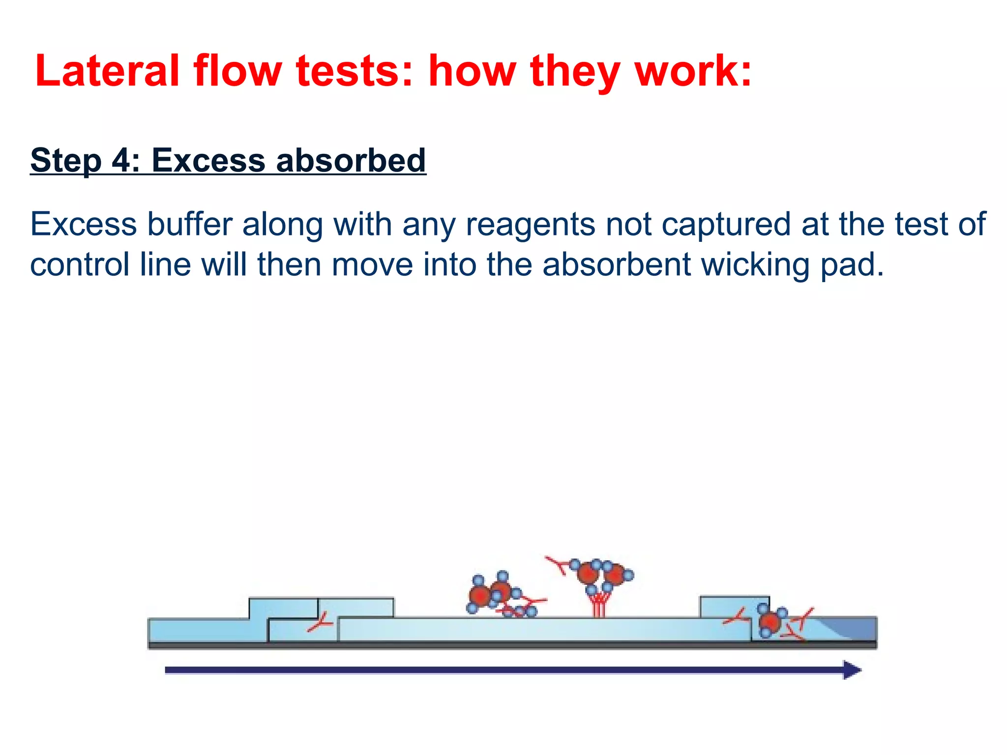 Immunochromatographic assays | PPT
