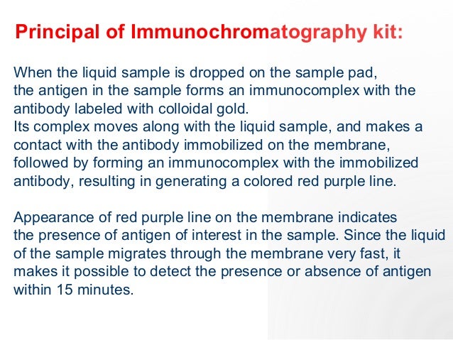 immunochromatography