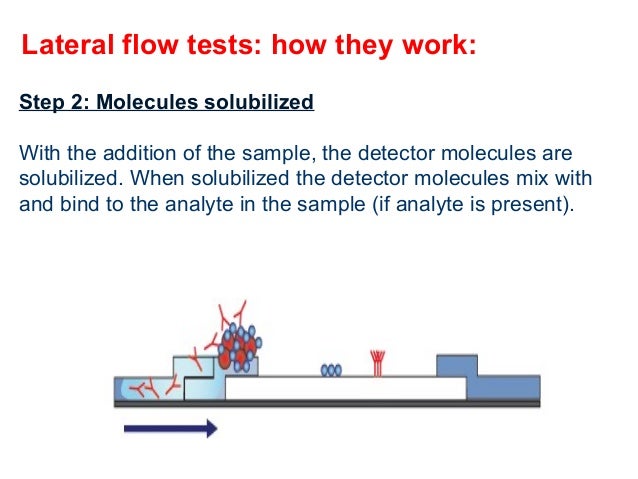 immunochromatography