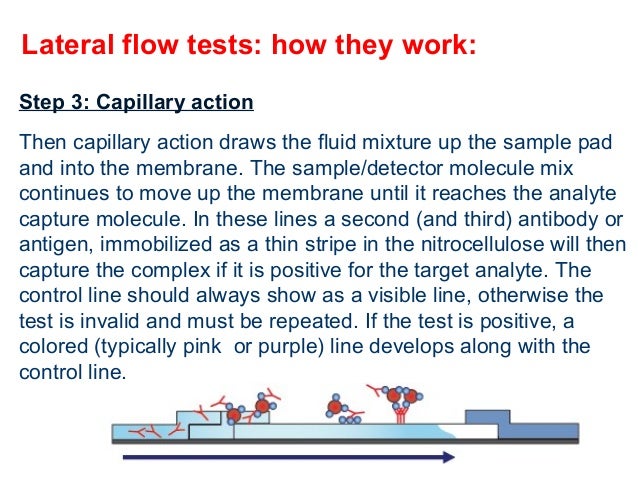 immunochromatography