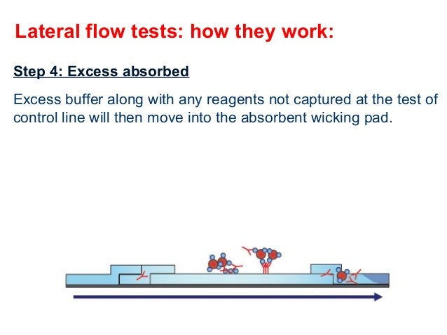 immunochromatography