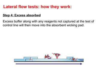 principle of immunochromatography and dipstick strip test.pptx