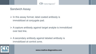 Sandwich Assay
 In this assay format, label coated antibody is
immobilized at conjugate pad.
 A capture antibody against target analyte is immobilized
over test line.
 A secondary antibody against labeled antibody is
immobilized at control zone.
www.creative-diagnostics.com
 