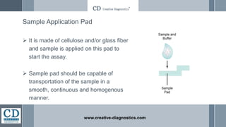 Sample Application Pad
 It is made of cellulose and/or glass fiber
and sample is applied on this pad to
start the assay.
 Sample pad should be capable of
transportation of the sample in a
smooth, continuous and homogenous
manner.
www.creative-diagnostics.com
 