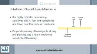 Substrate (Nitrocellulose) Membrane
 It is highly critical in determining
sensitivity of ICA. Test and control lines
are drawn over this piece of membrane.
 Proper dispensing of bioreagents, drying
and blocking play a role in improving
sensitivity of the assay.
www.creative-diagnostics.com
 