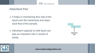 Adsorbent Pad
 It helps in maintaining flow rate of the
liquid over the membrane and stops
back flow of the sample.
 Adsorbent capacity to hold liquid can
play an important role in results of
assay.
www.creative-diagnostics.com
 