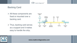 Backing Card
 All these components are
fixed or mounted over a
backing card.
 Thus, backing card serves
as a support and it makes
easy to handle the strip.
www.creative-diagnostics.com
 