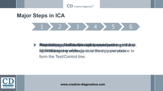1 2 3 4 5 6
Major Steps in ICA
 Preparation of labeled antibody and capture antibody
against target analyte.
www.creative-diagnostics.com
 Immobilizing the labeled antibody onto conjugate pad,
and the capture antibody onto the strip membrane to
form the Test/Control line.
 Assembling of all components onto a backing card
after dispensing of reagents at their proper pads.
 Add samples and buffer onto sample pad. Wait the sample flow through the test and control line
for 5-10min.
 Read the result when the color reveals.
 