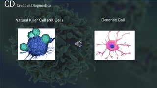 Immunocytes - Creative Diagnostics | PPTX