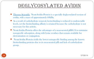 deglycoSylated avidin
 Thermo Scientific NeutrAvidin Protein is a specially deglycosylated version of
avidin, with a mass of approximately 60kDa.
 As a result of carbohydrate removal, lectin-binding is reduced to undetectable
levels, yet the biotin-binding affinity is retained because the carbohydrate is not
necessary for this activity.
 NeutrAvidin Protein offers the advantages of a near-neutral pH(6.3) to minimize
nonspecific adsorption, along with lysine residues that remain available for
derivatization or conjugation.
 NeutrAvidin Protein yields the lowest nonspecific binding among the known
biotin-binding proteins due to its near-neutral pH and lack of carbohydrate
group.
18 07/06/14
 