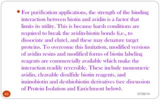 For purification applications, the strength of the binding
interaction between biotin and avidin is a factor that
limits its utility. This is because harsh conditions are
required to break the avidin-biotin bonds (i.e., to
dissociate and elute), and these may denature target
proteins. To overcome this limitation, modified versions
of avidin resins and modified forms of biotin labeling
reagents are commercially available which make the
interaction readily reversible. These include monomeric
avidin, cleavable disulfide biotin reagents, and
iminobiotin and desthiobiotin derivatives (see discussion
of Protein Isolation and Enrichment below).
43 07/06/14
 