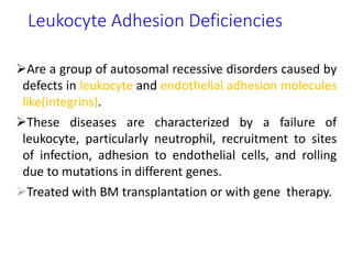 Leukocyte Adhesion Deficiencies
Are a group of autosomal recessive disorders caused by
defects in leukocyte and endothelial adhesion molecules
like(integrins).
These diseases are characterized by a failure of
leukocyte, particularly neutrophil, recruitment to sites
of infection, adhesion to endothelial cells, and rolling
due to mutations in different genes.
Treated with BM transplantation or with gene therapy.
 