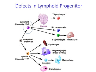 Defects in Lymphoid Progenitor
Progenitor
Progenitor
 