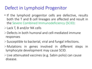 Defect in Lymphoid Progenitor
 If the lymphoid progenitor cells are defective, results
both the T and B cell lineages are affected and result in
the Severe Combined Immunodeficiency (SCID):
Lack T, B and/or NK cells
Defects in both humoral and cell-mediated immune
responses
Susceptible to bacterial, viral and fungal infections.
Mutations in genes involved in different steps in
lymphocyte development may cause SCID.
Live attenuated vaccines (e.g. Sabin polio) can cause
disease.
 