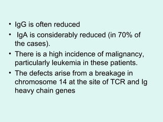 • IgG is often reduced
• IgA is considerably reduced (in 70% of
the cases(.
• There is a high incidence of malignancy,
particularly leukemia in these patients.
• The defects arise from a breakage in
chromosome 14 at the site of TCR and Ig
heavy chain genes
 