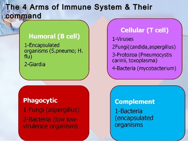 Image result for immunodeficiency