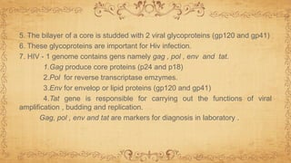 5. The bilayer of a core is studded with 2 viral glycoproteins (gp120 and gp41)
6. These glycoproteins are important for Hiv infection.
7. HIV - 1 genome contains gens namely gag , pol , env and tat.
1.Gag produce core proteins (p24 and p18)
2.Pol for reverse transcriptase emzymes.
3.Env for envelop or lipid proteins (gp120 and gp41)
4.Tat gene is responsible for carrying out the functions of viral
amplification , budding and replication.
Gag, pol , env and tat are markers for diagnosis in laboratory .
 