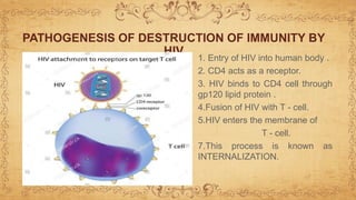 1. Entry of HIV into human body .
2. CD4 acts as a receptor.
3. HIV binds to CD4 cell through
gp120 lipid protein .
4.Fusion of HIV with T - cell.
5.HIV enters the membrane of
T - cell.
7.This process is known as
INTERNALIZATION.
PATHOGENESIS OF DESTRUCTION OF IMMUNITY BY
HIV
 