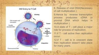 8. Release of viral DNA(Necessary
of cell multiplication )
9.Hence by reverse transcription
process producess cDNA (a
proviral DNA which helps in
multiplication )
10.A state of T - cell plays a major
role for process of replication.
11.if T - cell active then replication
occur.
12.if T - cell is in crescent state
then replication doesn't take place
for many years.
 