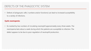 DEFECTS OF THE PHAGOCYTIC SYSTEM
• Defects of phagocytic cells ( numbers and/or functions) can lead to increased susceptibility
to a variety of infections.
Cyclic neutropenia:
• Its marked by low numbers of circulating neutrophil approximately every three weeks. The
neutropenia lasts about a week during which the patients are susceptible to infection. The
defect appears to be due to poor regulation of neutrophil production.
 