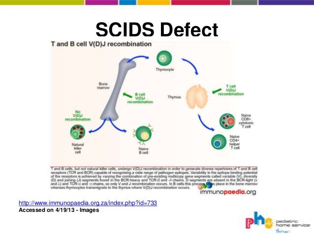 Immunodeficiency syndromes part 3