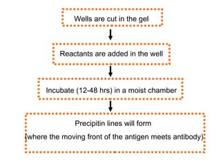 Immunodiffusion principles and application | PPT