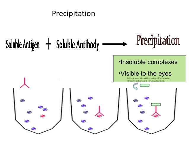 Immunodiffusion principles and application