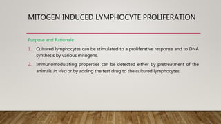 MITOGEN INDUCED LYMPHOCYTE PROLIFERATION
Purpose and Rationale
1. Cultured lymphocytes can be stimulated to a proliferative response and to DNA
synthesis by various mitogens.
2. Immunomodulating properties can be detected either by pretreatment of the
animals in vivo or by adding the test drug to the cultured lymphocytes.
 