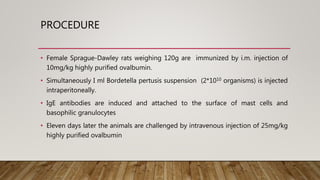 PROCEDURE
• Female Sprague-Dawley rats weighing 120g are immunized by i.m. injection of
10mg/kg highly purified ovalbumin.
• Simultaneously I ml Bordetella pertusis suspension (2*1010 organisms) is injected
intraperitoneally.
• IgE antibodies are induced and attached to the surface of mast cells and
basophilic granulocytes
• Eleven days later the animals are challenged by intravenous injection of 25mg/kg
highly purified ovalbumin
 