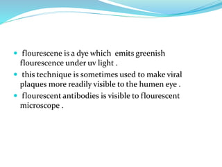  flourescene is a dye which emits greenish
flourescence under uv light .
 this technique is sometimes used to make viral
plaques more readily visible to the humen eye .
 flourescent antibodies is visible to flourescent
microscope .
 