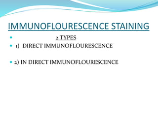IMMUNOFLOURESCENCE STAINING
 2 TYPES
 1) DIRECT IMMUNOFLOURESCENCE
 2) IN DIRECT IMMUNOFLOURESCENCE
 
