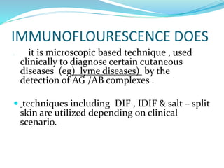 IMMUNOFLOURESCENCE DOES
• it is microscopic based technique , used
clinically to diagnose certain cutaneous
diseases (eg) lyme diseases) by the
detection of AG /AB complexes .
 techniques including DIF , IDIF & salt – split
skin are utilized depending on clinical
scenario.
 