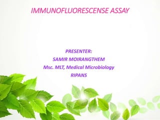 IMMUNOFLUORESCENSE ASSAY
PRESENTER:
SAMIR MOIRANGTHEM
Msc. MLT, Medical Microbiology
RIPANS
 