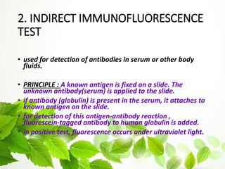 2. INDIRECT IMMUNOFLUORESCENCE
TEST
• used for detection of antibodies in serum or other body
fluids.
• PRINCIPLE : A known antigen is fixed on a slide. The
unknown antibody(serum) is applied to the slide.
• if antibody (globulin) is present in the serum, it attaches to
known antigen on the slide.
• for detection of this antigen-antibody reaction ,
fluorescein-tagged antibody to human globulin is added.
• in positive test, fluorescence occurs under ultraviolet light.
 