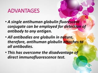 ADVANTAGES
• A single antihuman globulin fluorescent
conjugate can be employed for detection of
antibody to any antigen.
• All antibodies are globulin in nature,
therefore, antihuman globulin attaches to
all antibodies.
• This has overcome the disadvantage of
direct immunofluorescence test.
 