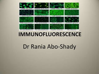 IMMUNOFLUORESCENCE
Dr Rania Abo-Shady
ASS.Prof. of Clinical Pathology
Ain Shams University
 