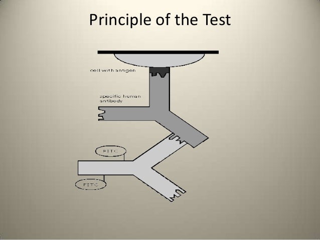 emit assay principle emit assay principle