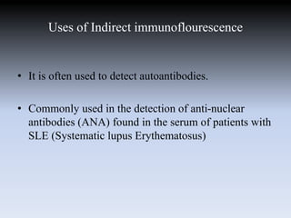 Uses of Indirect immunoflourescence
• It is often used to detect autoantibodies.
• Commonly used in the detection of anti-nuclear
antibodies (ANA) found in the serum of patients with
SLE (Systematic lupus Erythematosus)
 