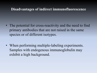 Disadvantages of indirect immunofluorescence
• The potential for cross-reactivity and the need to find
primary antibodies that are not raised in the same
species or of different isotypes.
• When performing multiple-labeling experiments.
Samples with endogenous immunoglobulin may
exhibit a high background.
 