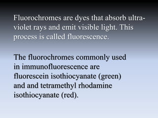 Fluorochromes are dyes that absorb ultra-
violet rays and emit visible light. This
process is called fluorescence.
The fluorochromes commonly used
in immunofluorescence are
fluorescein isothiocyanate (green)
and and tetramethyl rhodamine
isothiocyanate (red).
 