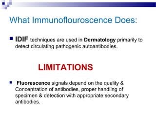 What Immunoflouroscence Does:
 IDIF techniques are used in Dermatology primarily to 
detect circulating pathogenic autoantibodies.
               LIMITATIONS
 Fluorescence signals depend on the quality & 
Concentration of antibodies, proper handling of 
specimen & detection with appropriate secondary 
antibodies.
 