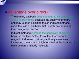  Advantage over direct IF
 The primary antibody does not need to be conjugated
with a fluorochrome because the supply of primary
antibody is often a limiting factor, indirect methods
avoid the loss of antibody that usually occurs during
the conjugation reaction.
 Indirect methods increase the sensitivity of staining
because multiple molecules of the fluorescence
reagent bind to each primary antibody molecules,
increasing the amount of light emitted at the location of
each primary antibody molecule.
 