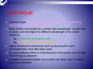 Technique:
 Common dyes: fluorescein isothiocyanate (FITC) or tetramethyl
rhodamine isothiocyanate (TRITC)
 Dyes chosen are excited by a certain light wavelength, usually blue
or green, and emit light of a different wavelength in the visible
spectrum
 Eg. Fluorescein emits green light
 Eg. Rhodamine emits orange/red light
 Highly fluorescent substances such as phycoerythrin and
phycobiliprotein have also been used.
 By using selective filters in a fluorescence microscope only the light
from the dye is detected
 Available fluorescent labels now include red, blue, cyan or yellow
fluorescent proteins
 