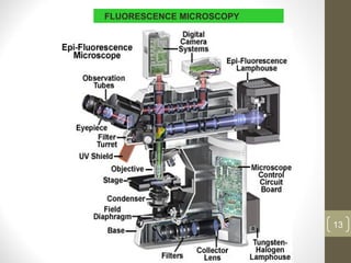 FLUORESCENCE MICROSCOPY
13
 